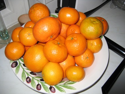 orangen.JPG