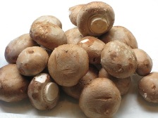 braune-champignons.JPG