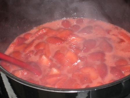 erdbeeren-mit-gelierfix-usw-kochen.JPG